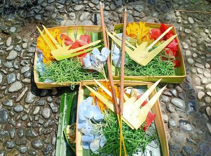 Pensión Kasapa Ubud
