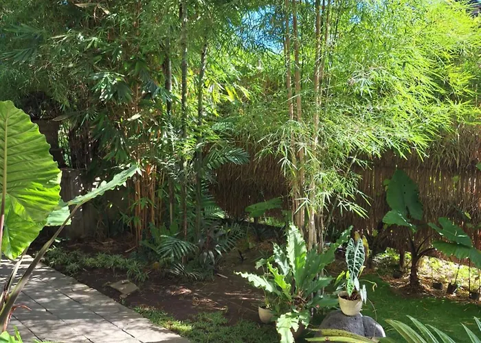 Kasapa 3* Ubud
