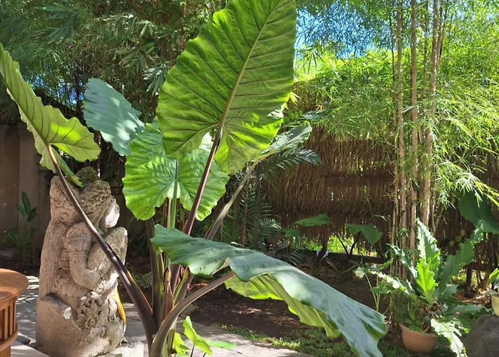 Pensión Kasapa Ubud