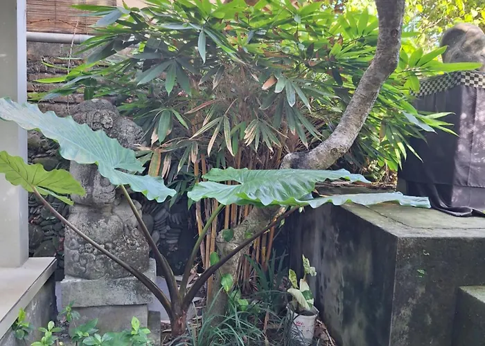 Kasapa Ubud