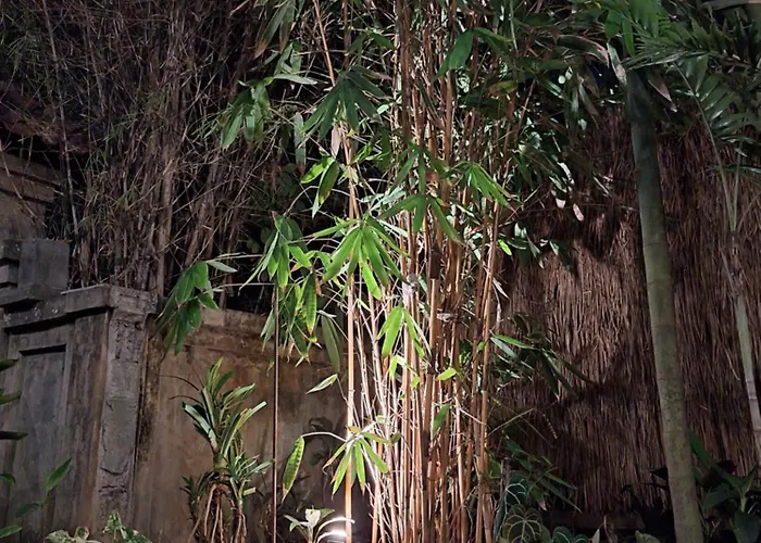 Kasapa Ubud